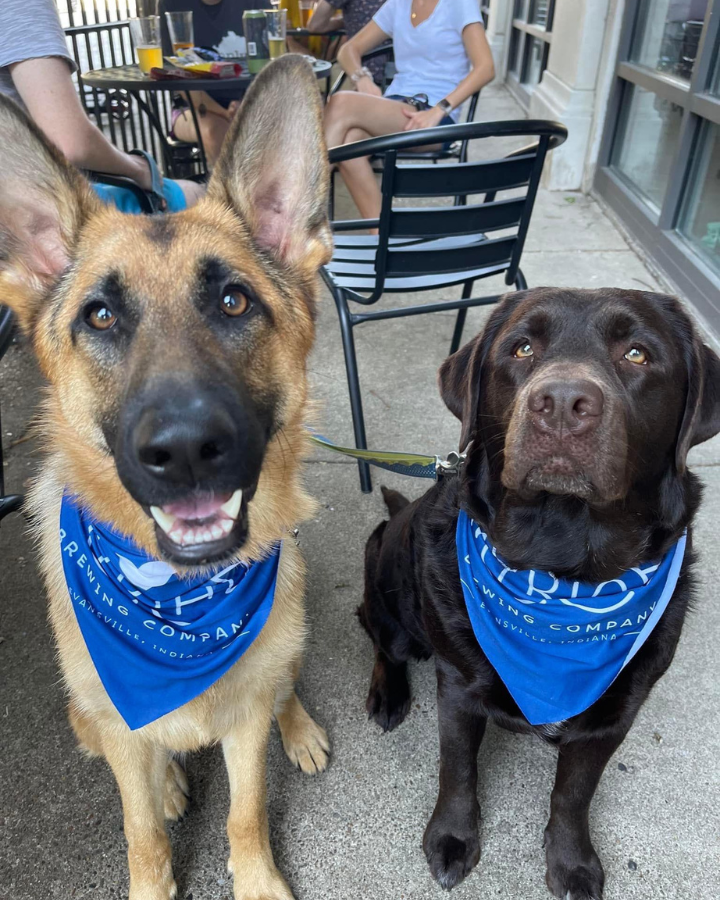 10 Pawsitively Pet Friendly Spots in the Evansville Region